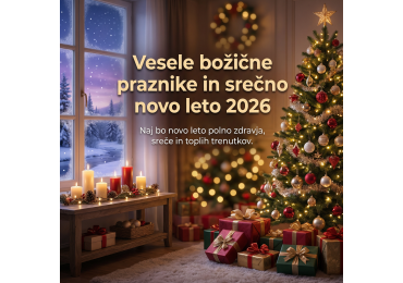 Praznično voščilo in delovni čas ob koncu leta